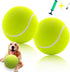 Giant 9.5" Dog Tennis Ball, 2 Pack Oversize Interactive Puzzle Toy with 1*Ball Pump + 1*Needle for Small, Medium, Large
