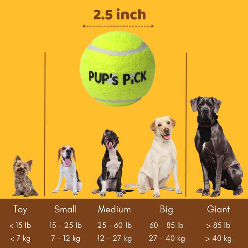 Pup’s Pick Squeaky Tennis Balls for Dogs, 12-Pack 2.5" in Bright Colors (Yellow Blue Pink Orange), Fun Fetch Balls with