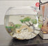 Small Japanese Fish Tank Decorations Set, Suitable for Aquariums up to 5 Gallon, Includes Plastic Plants