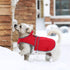 MIGOHI Reflective Waterproof Dog Coat, Medium, Red, Fleece Lined