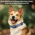 AirTag Dog Collar, Polyester Pet Cat Puppy Collar with Silicone Holder for Small, Medium, Large, and Extra Large Dogs,