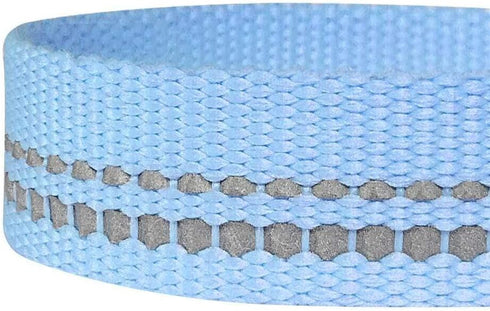 Blueberry Pet 5 ft x 5/8" Reflective Pastel Color Dog Leash, Soft Handle, Baby Blue, Small