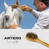Elegant Bamboo Horse Mane and Tail Brush - Grooming Supplies