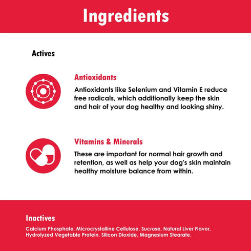 Derm Tabs Regular Strength for Dogs - 120 Chewable Tablets for Healthy Skin & Reduced Shedding