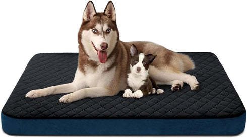JoicyCo Orthopedic Foam Dog Bed for Extra Large Dogs, 47 Inch Jumbo XL Mattress with Non-Slip Bottom and Removable Cover
