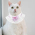 ANNUOZE 3 PCS Chiffon Cat Bibs with Bows, Sweet Lace Ruffle Dog Bib Collars, Cute Kitten Bandana Scarf, Pet Accessories