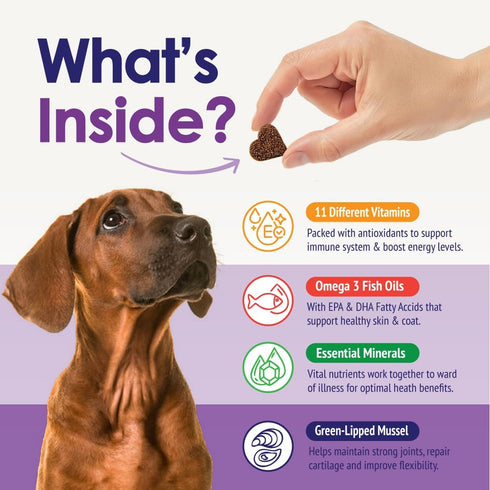 22 1 3 Immune 60 Dog Multivitamin Chewable - in Dog Vitamins and Supplements with Green Lipped Mussel & Omega