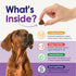 22 1 3 Immune 60 Dog Multivitamin Chewable - in Dog Vitamins and Supplements with Green Lipped Mussel & Omega