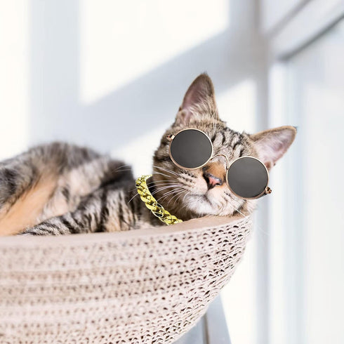 6PCS Pet Dog Cat Costume - Retro Sunglasses, Adjustable Gold Chain Collar & Straw Hat, Funny Accessories for Birthday