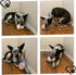 Pet Dog Birthday Cake Cupcake Plush Squeaker Toy, Dog Cat Supplies Gift
