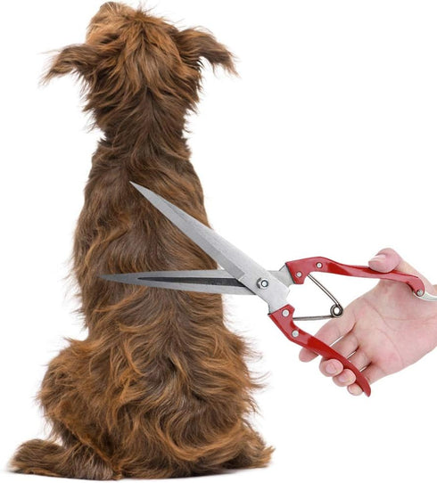Professional Stainless Steel Sheep Shear: Heavy Duty Safety Sheep Wool Scissor for Grooming Dogs, Cats, and Sheep