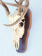 The Taxidermists' Woodshop Rustic Grey European Skull Mount Plaque for Deer, Perfect Antler Display