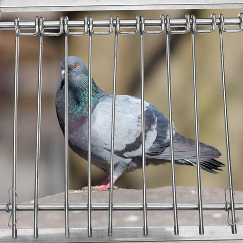 Pigeon Bird Cage Door Coop, Automatic Chicken Wire Frame Cages Supply (29 x 26cm)