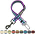 Blueberry Pet Dog Leash, 3M Reflective Adjustable Dog Seat Belt for Car, 1-Inch Width, Violet & River Blue