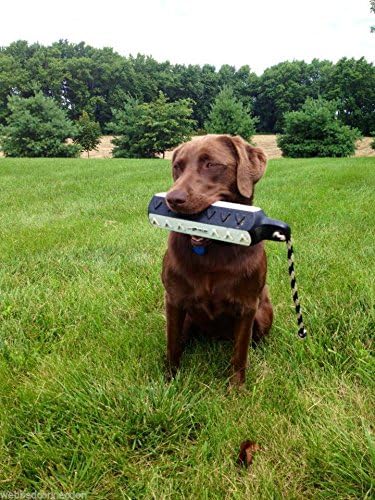 2" Dummy Pack (02720) Avery ASD HexaBumper Hunting Sporting Gun Dog Game Retriever | Water & Upland Mark Training