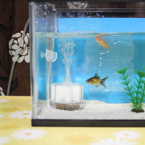 Mipcase 4Pcs Red Worm Feeder Dish with Suction Cup, Floating Fish Tank Feeding Bowl for Shrimp and Fish.