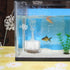 Mipcase 4Pcs Red Worm Feeder Dish with Suction Cup, Floating Fish Tank Feeding Bowl for Shrimp and Fish.
