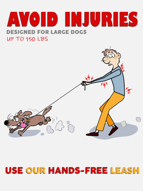 Correa para perro Manos libres para correr, caminar, entrenamiento canino, excursionismo | Tamaño: Perros