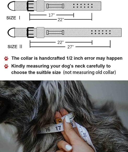 Large Dog Collar, Black Heavy Duty for Giant Breed Dogs, 2 inch Wide with Handle, Strong Nylon and Stainless Hardware