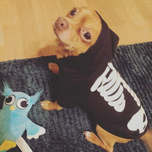 Halloween Pet Dog Cat Skull Hoodies, Glowing Skeleton Bones Costume Outfit for Dogs and Cats, L