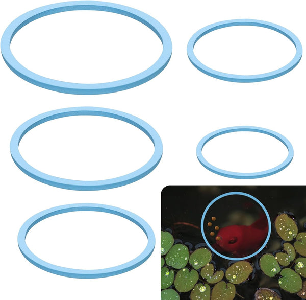 5pcs Aquarium Floating Plant Rings, Foam Round Fish Feeding Rings to Keep Floating Plants in Place (Blue)