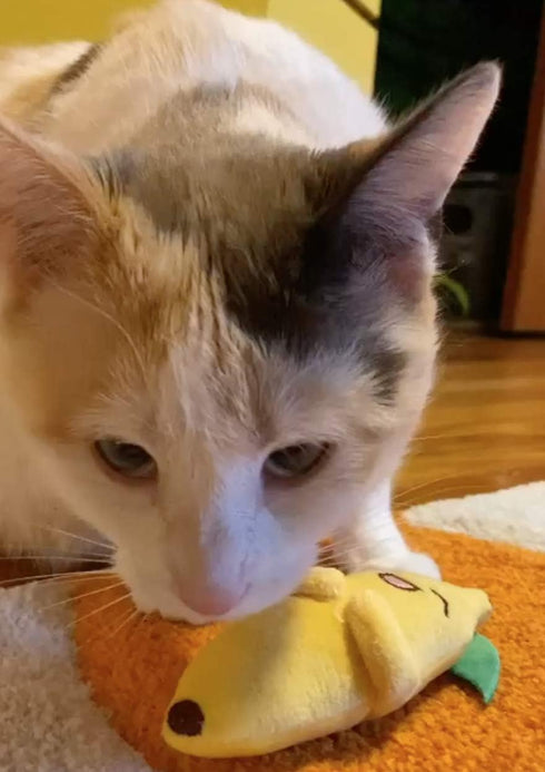 Smokey's Stash Cat Toys - Catnip Filled Banana, Avocado, Sisal Mouse, and Ball for Cats