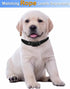 Cute Personalized Dog Collar for Small Medium Large Dogs, Adjustable Soft Collars with Quick Release Buckle for Walking