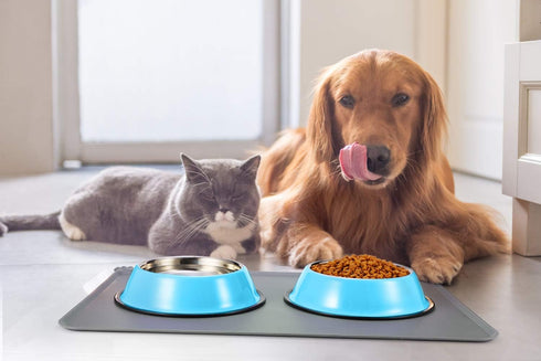 Stainless Steel Dog Bowls, Non Slip Anti Skid Stackable Food and Water Dishes for Small, Medium, Large Dogs (2 Pack)