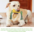 Dog Chew Toys for Puppies - Interactive Corn Toys for Clean Teeth, Aggressive Chewers, Medium Large Breed