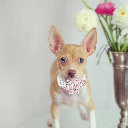 Pink Dog Collar with Flower for Girls, Adjustable Pet Gift for Medium Small Large Dogs