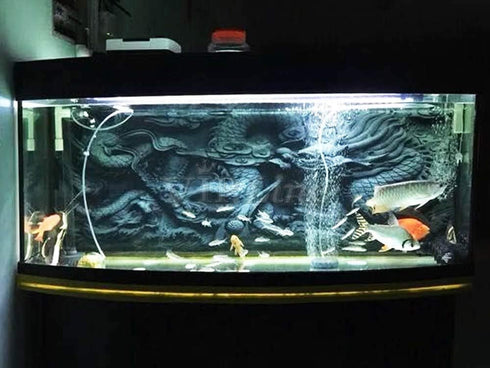 Dragon Relief Aquarium Background Poster - PVC Fish Tank Decorations Landscape (48" x 30")