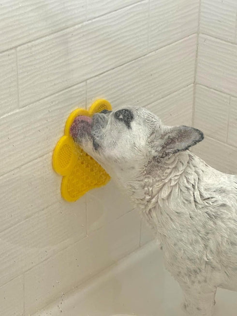 Dog Lick Pad - Washing Distraction Device, Slow Eating Mat for Pet Licking Peanut Butter, Grooming Training