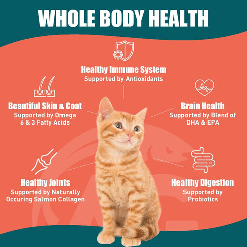 SUPER3+ Dry Cat Food (Salmon+Freeze Dried Raw Salmon+Salmon Fish Oil) | High-Protein | Grain-Free | 3 lbs
