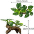 Smoothedo-Pets Aquarium Decor, 3pcs Betta Silk Leaf Pad Hammock and Artificial Driftwood Cave