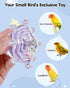2 Pawfly Pcs Bird Toys for Parakeets, Colorful Spinning Wheel Chew Toys, Interactive Spinner Rattle Parrot Toys