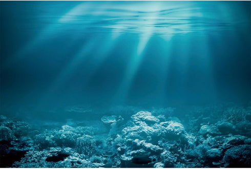AWERT 36x18 inches Sunshine Underwater World Fish Tank Background, Undersea Theme Aquarium Background Vinyl