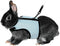 Hypeety Rabbit Kitten Harness Cat Leash for Small Animal Adjustable Soft Harness and Lead Set (M: Chest 7.09"-9.84",