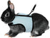 Hypeety Rabbit Kitten Harness Cat Leash for Small Animal Adjustable Soft Harness and Lead Set (M: Chest 7.09"-9.84",
