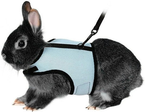 Hypeety Rabbit Kitten Harness Cat Leash Set for Small Animal, Adjustable Soft Harness and Lead for Bunny Cat Walking