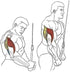 Pull Down Rope Single Grip Attachment for Tricep Bicep Exercise on Cable Machines for Gym Workouts