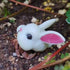 Opaeroo 1.9cm Rabbit Designs Hermit Crab Shells for Home Decorations Hermit Crab Supplies and DIY Crafts