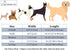 ARING PET Bowtie Dog Collar, Adjustable Collar with Bow for Small Medium Large Dogs