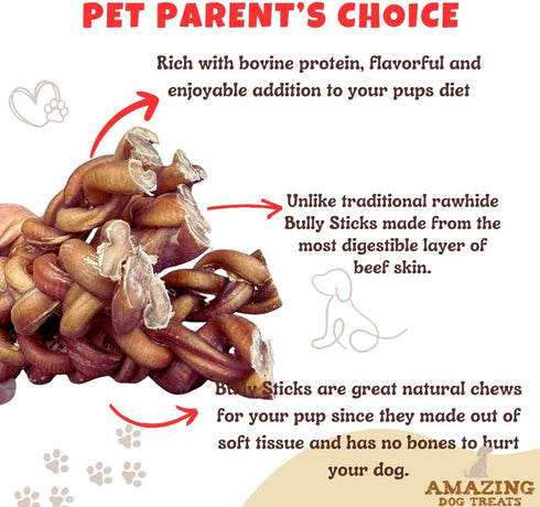 Amazing Dog Treats 6" Braided Bully Stick (10 Pcs/Pack) - Made from Premium Grass Fed Argentinian Beef