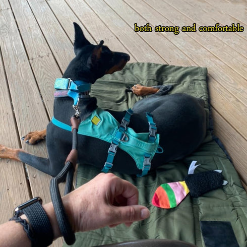 BTINESFUL Short Dog Leash, 18, 24 Inch Strong Nylon Training Traffic Leash for Medium Large Dogs (1/2" x 18 inch)