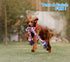 Bmag Dog Rope Toys for Aggressive Chewers, Interactive Heavy Duty Toys for Medium Large Dogs, Tough Twisted Rope with 5