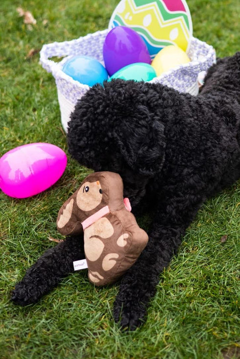Pearhead Plush Easter Chocolate Bunny Dog Toy, Interactive Soft Squeaker Pet Toy for Dog Owners