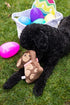 Pearhead Plush Easter Chocolate Bunny Dog Toy, Interactive Soft Squeaker Pet Toy for Dog Owners