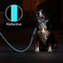Azuza Blue Durable Padded Dog Leash and Collar Set with Airtag Holder, Reflective Strip for Small Dogs