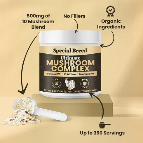 Immunity Immune 360 Mushroom Powder for Dogs & Cats - Organic Mushroom Complex for Support, Function, Cognition