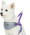 Blueberry Pet Purple Dog Harness, Medium Size, Reflective Nylon Vest, Adjustable for Small Dogs